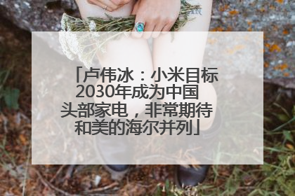 卢伟冰：小米目标2030年成为中国头部家电，非常期待和美的海尔并列