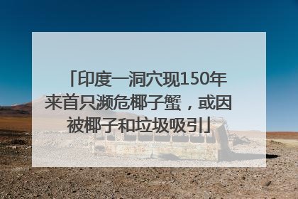 印度一洞穴现150年来首只濒危椰子蟹，或因被椰子和垃圾吸引
