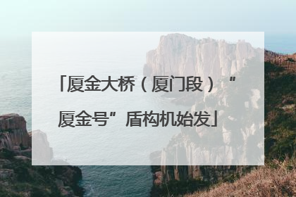 厦金大桥（厦门段）“厦金号”盾构机始发