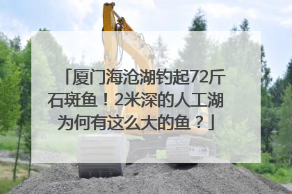 厦门海沧湖钓起72斤石斑鱼！2米深的人工湖为何有这么大的鱼？