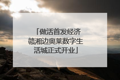 做活首发经济 赣湘边奥莱数字生活城正式开业