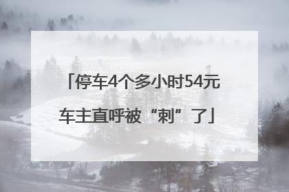 停车4个多小时54元 车主直呼被“刺”了