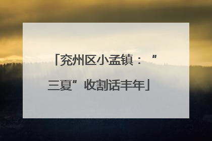 兖州区小孟镇：“三夏”收割话丰年