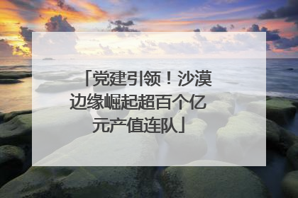 党建引领！沙漠边缘崛起超百个亿元产值连队