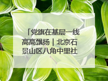 党旗在基层一线高高飘扬｜北京石景山区八角中里社区党委：用脚步丈量民生
