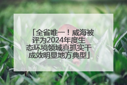 全省唯一！威海被评为2024年度生态环境领域真抓实干成效明显地方典型