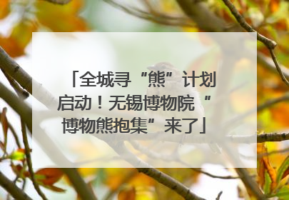 全城寻“熊”计划启动！无锡博物院“博物熊抱集”来了