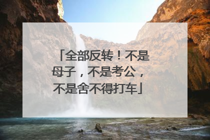 全部反转！不是母子，不是考公，不是舍不得打车