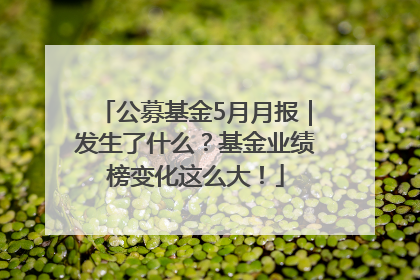 公募基金5月月报｜发生了什么？基金业绩榜变化这么大！