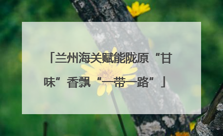 兰州海关赋能陇原“甘味”香飘“一带一路”