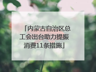 内蒙古自治区总工会出台助力提振消费11条措施