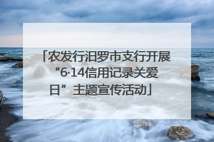 农发行汨罗市支行开展“6·14信用记录关爱日”主题宣传活动