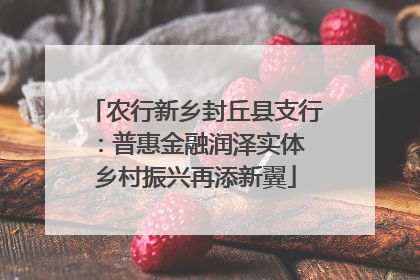 农行新乡封丘县支行：普惠金融润泽实体 乡村振兴再添新翼