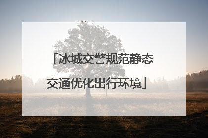 冰城交警规范静态交通优化出行环境