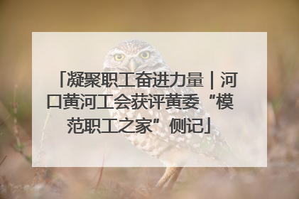 凝聚职工奋进力量｜河口黄河工会获评黄委“模范职工之家”侧记
