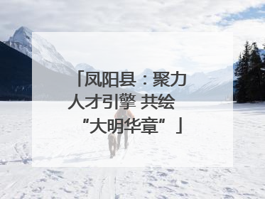 凤阳县：聚力人才引擎 共绘“大明华章”
