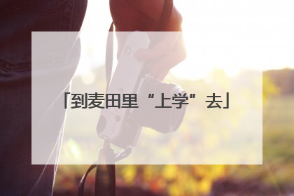 到麦田里“上学”去