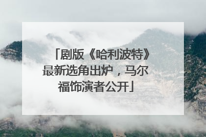 剧版《哈利波特》最新选角出炉，马尔福饰演者公开