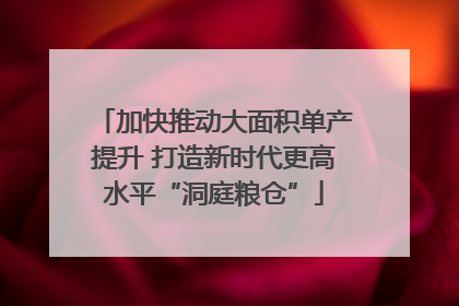 加快推动大面积单产提升 打造新时代更高水平“洞庭粮仓”
