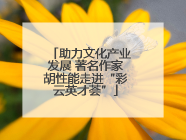 助力文化产业发展 著名作家胡性能走进“彩云英才荟”