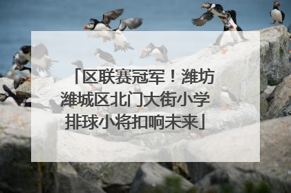 区联赛冠军！潍坊潍城区北门大街小学排球小将扣响未来