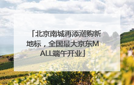 北京南城再添潮购新地标，全国最大京东MALL端午开业