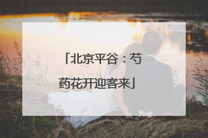 北京平谷：芍药花开迎客来