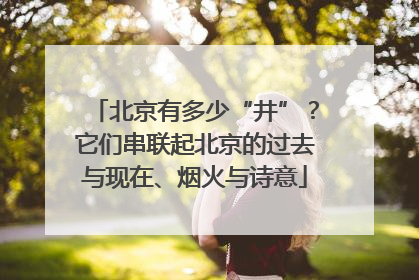 北京有多少“井”？它们串联起北京的过去与现在、烟火与诗意