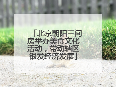 北京朝阳三间房举办美食文化活动，带动辖区银发经济发展