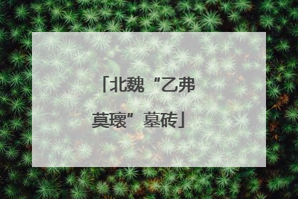 北魏“乙弗莫瓌”墓砖