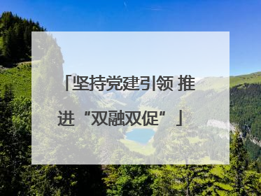 坚持党建引领 推进“双融双促”