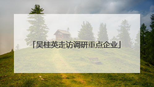 吴桂英走访调研重点企业