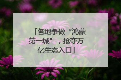 各地争做“鸿蒙第一城”，抢夺万亿生态入口