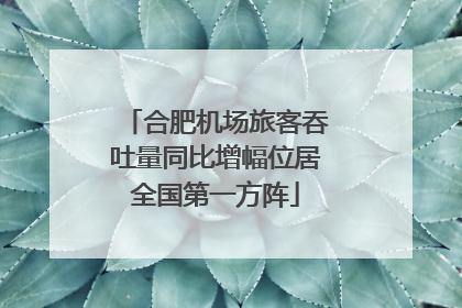 合肥机场旅客吞吐量同比增幅位居全国第一方阵