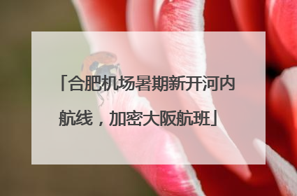 合肥机场暑期新开河内航线，加密大阪航班