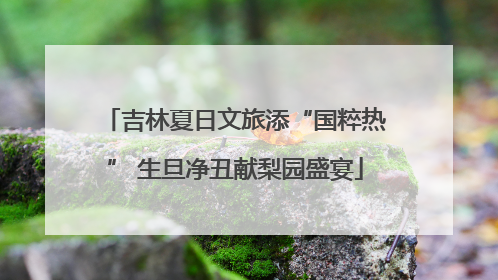 吉林夏日文旅添“国粹热” 生旦净丑献梨园盛宴