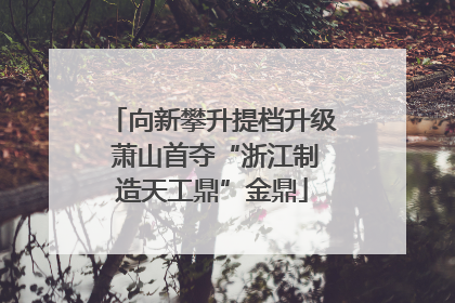 向新攀升提档升级 萧山首夺“浙江制造天工鼎”金鼎