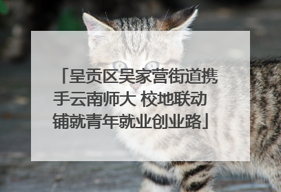 呈贡区吴家营街道携手云南师大 校地联动铺就青年就业创业路
