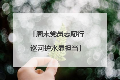 周末党员志愿行 巡河护水显担当