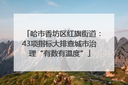 哈市香坊区红旗街道：43项指标大排查城市治理“有数有温度”