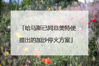 哈马斯已同意美特使提出的加沙停火方案