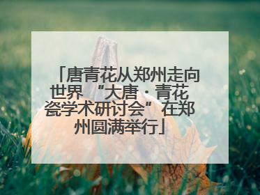 唐青花从郑州走向世界 “大唐・青花瓷学术研讨会”在郑州圆满举行