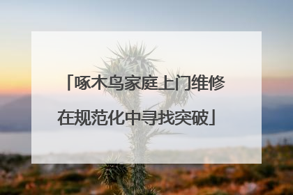 啄木鸟家庭上门维修在规范化中寻找突破