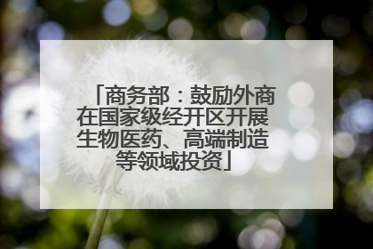 商务部：鼓励外商在国家级经开区开展生物医药、高端制造等领域投资