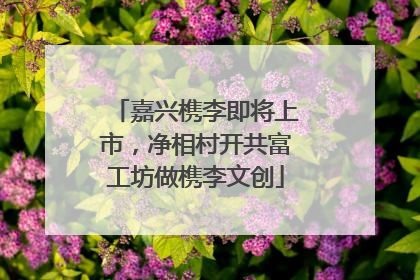 嘉兴槜李即将上市，净相村开共富工坊做槜李文创