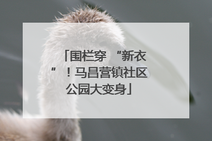 围栏穿 “新衣”！马昌营镇社区公园大变身