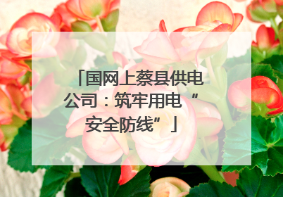 国网上蔡县供电公司：筑牢用电“安全防线”