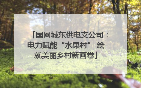 国网城东供电支公司：电力赋能“水果村” 绘就美丽乡村新画卷