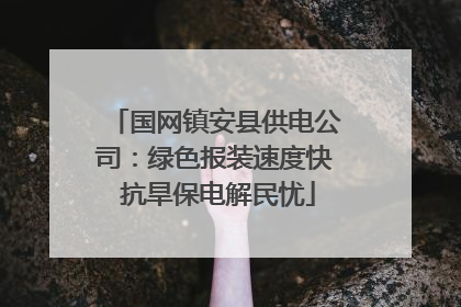 国网镇安县供电公司：绿色报装速度快 抗旱保电解民忧