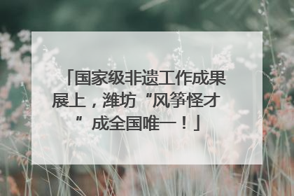 国家级非遗工作成果展上，潍坊“风筝怪才”成全国唯一！